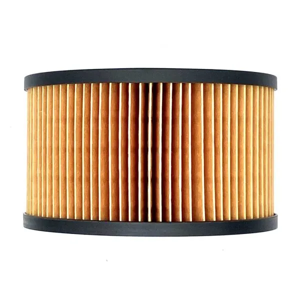 18544-Filtro-Hatz-Aire-50484100-600x600