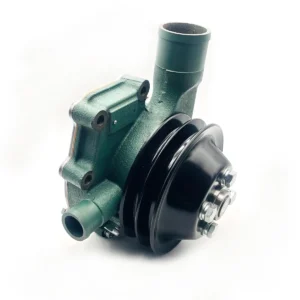 Bomba-de-Agua-Himoinsa-3048144-