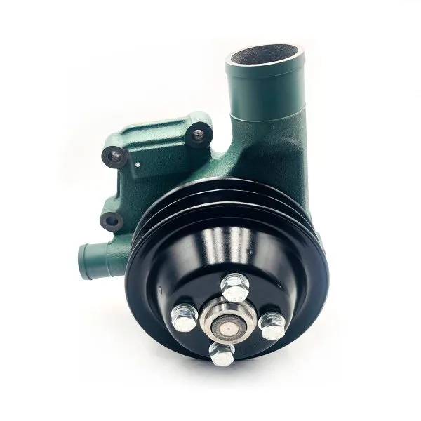 Bomba-de-Agua-Himoinsa-3048144-600x600